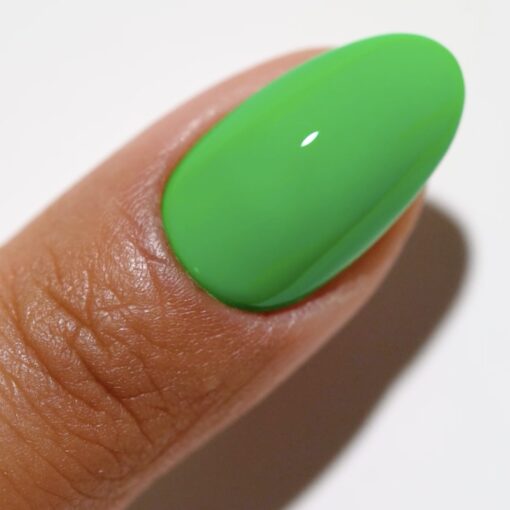 DC DUO 2524 One In A Melon